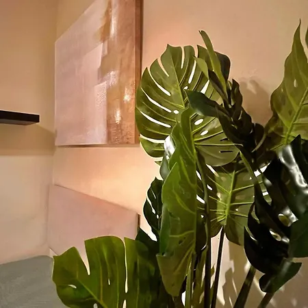 Apartment Wish San Seville