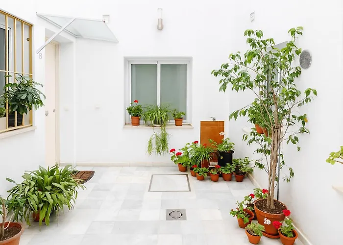 Apartmán Wish San